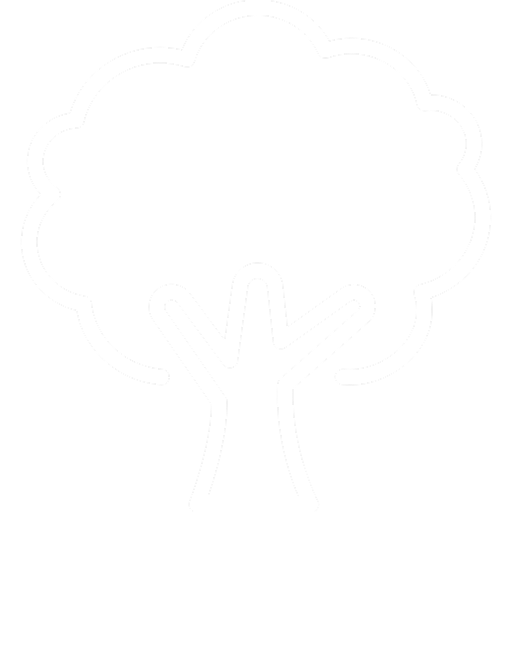 ARBOL1